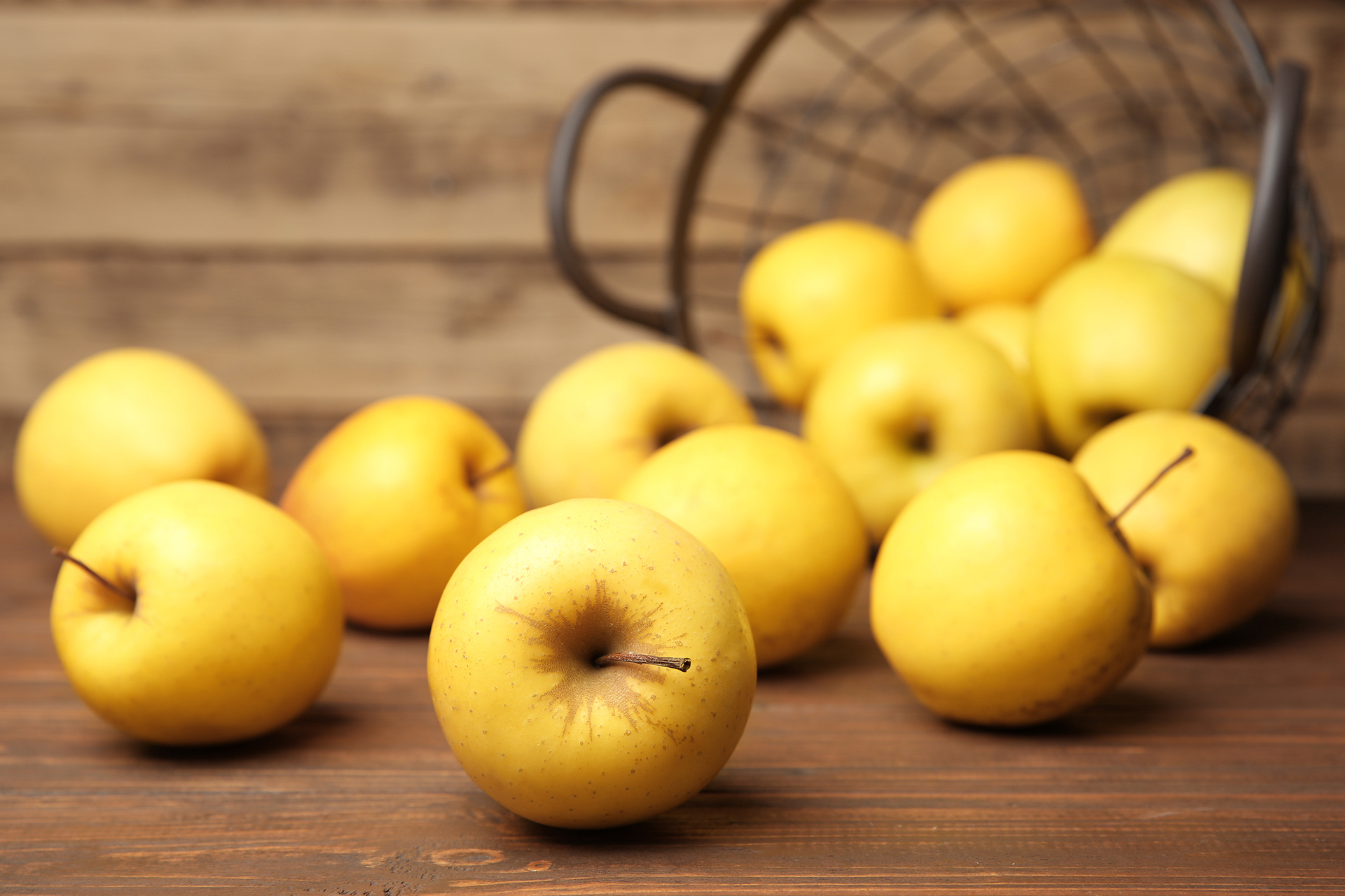 Pomme Française