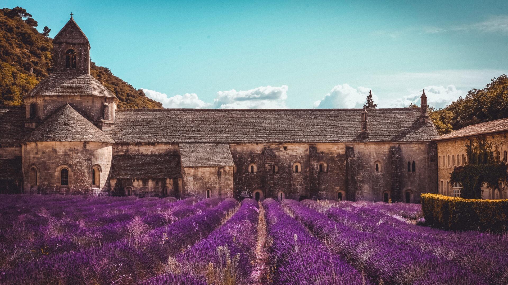 Terre de Provence-Alp-Cote-d'Azur