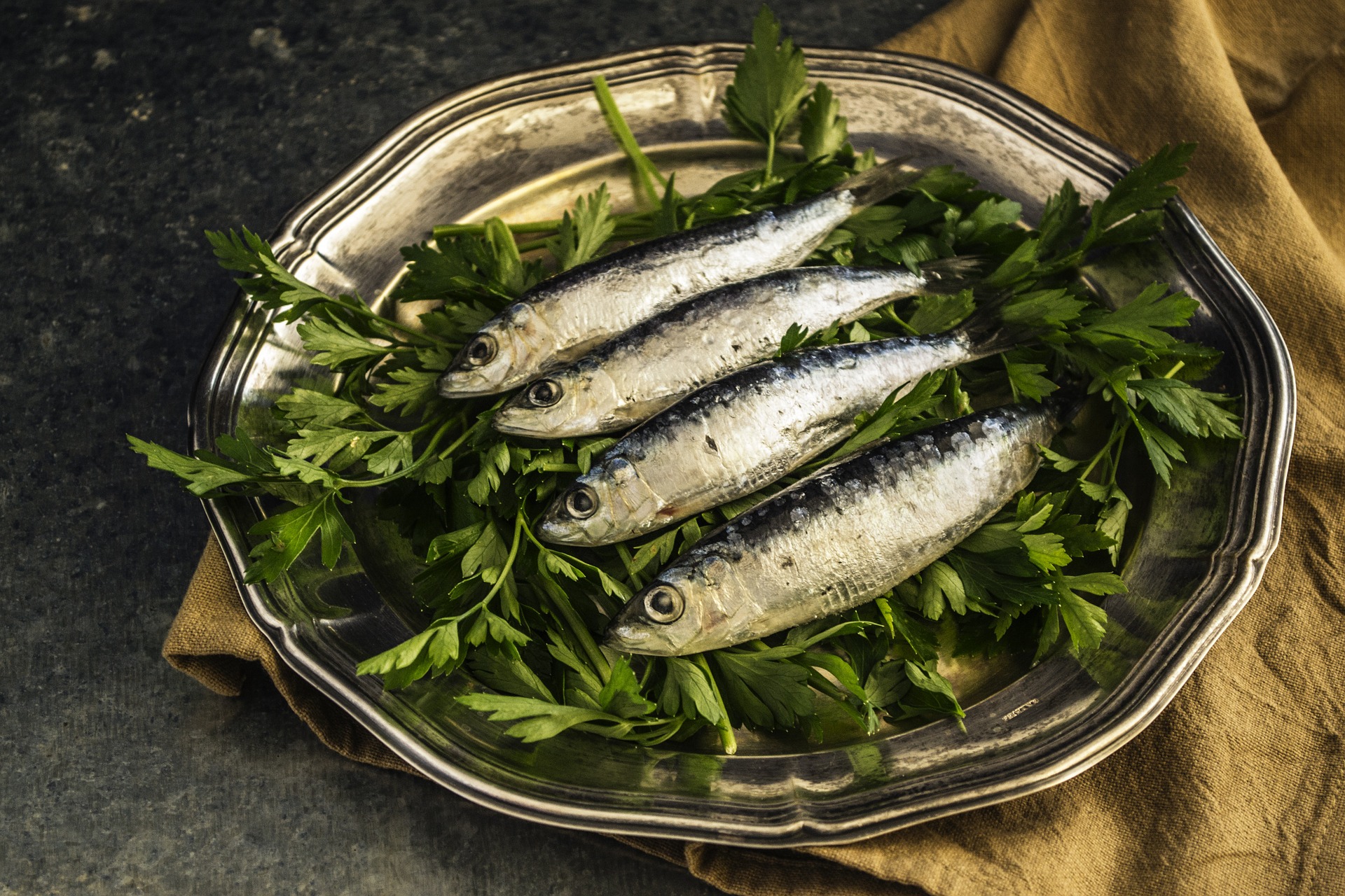 sardine de Saint-Gilles-Croix-De-Vie