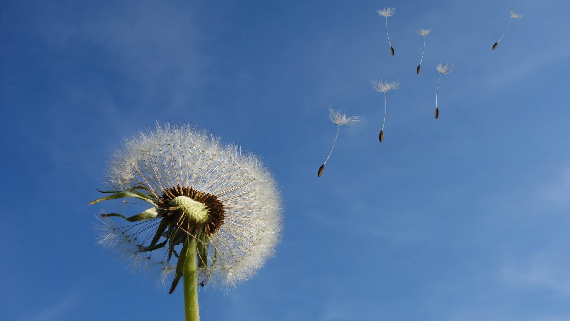 Teqoya : l’air purifié