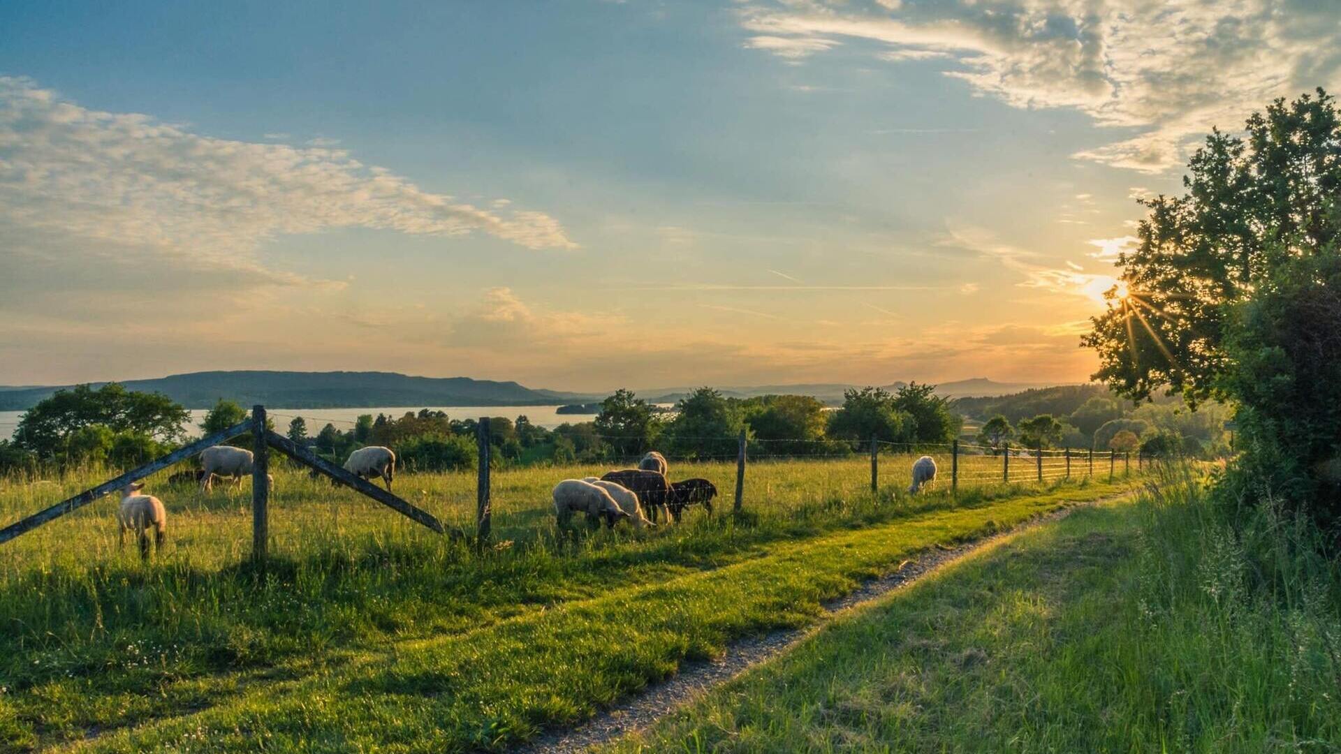 Des haies pour la biodiversité Française