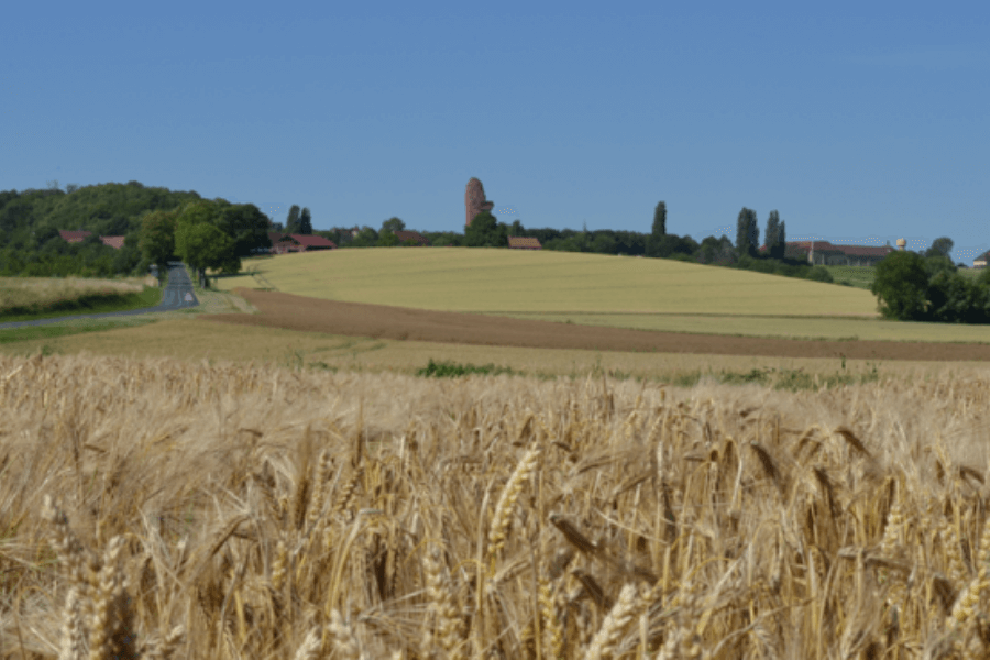 Papote, agriculture éco-responsables