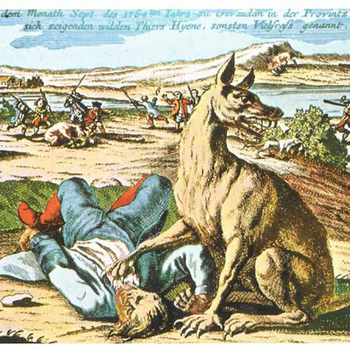 La bête du Gévaudan 18e siècle