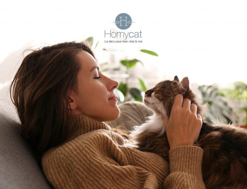 Homycat : chats et maîtres à l’aise