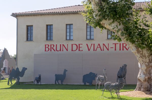 brun de vian tiran