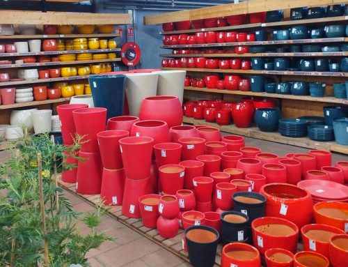 Les Poteries d’Albi : un savoir-faire ancestral