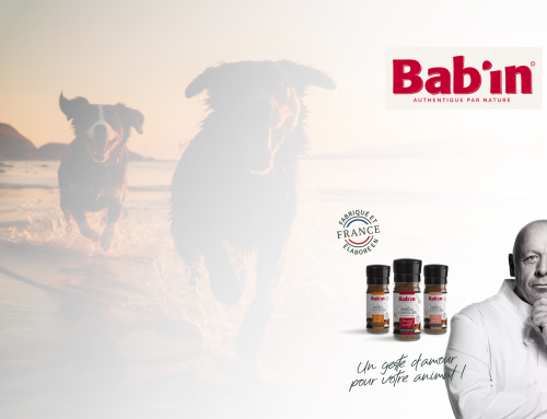 Bab’in : la croquette pour animaux Made in France