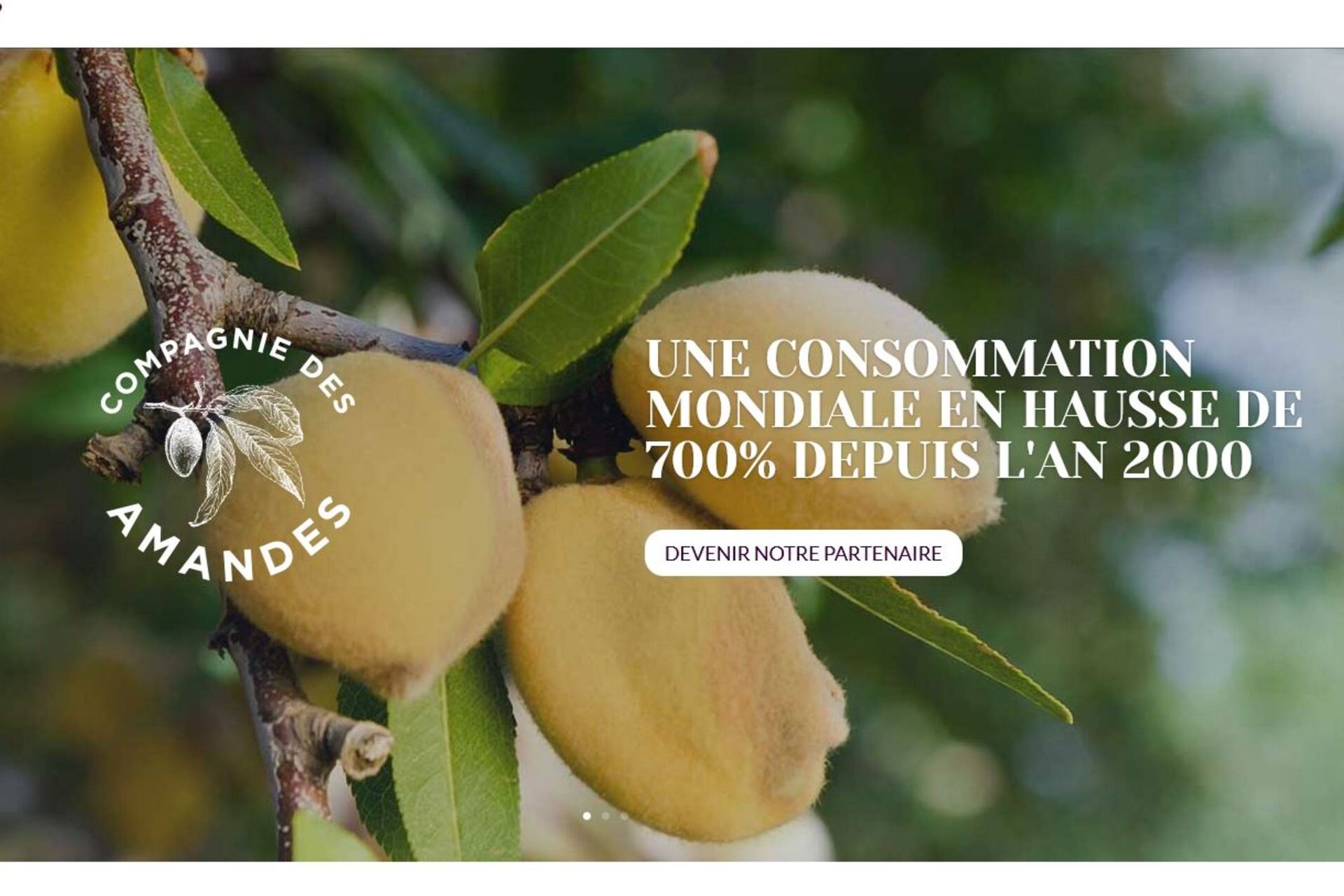 Compagnie des amandes