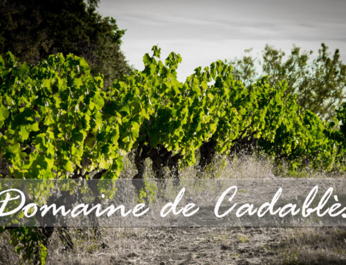 Domaine de Cadablès, terroir d’exception