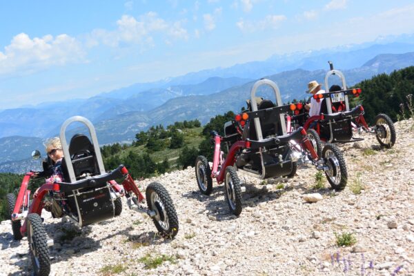 6 Swincar