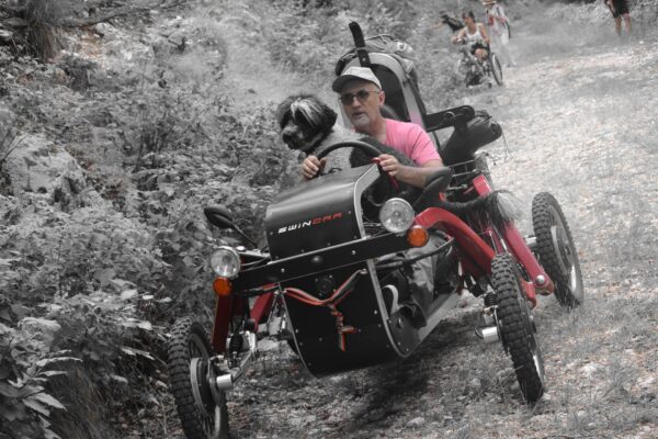 Swincar