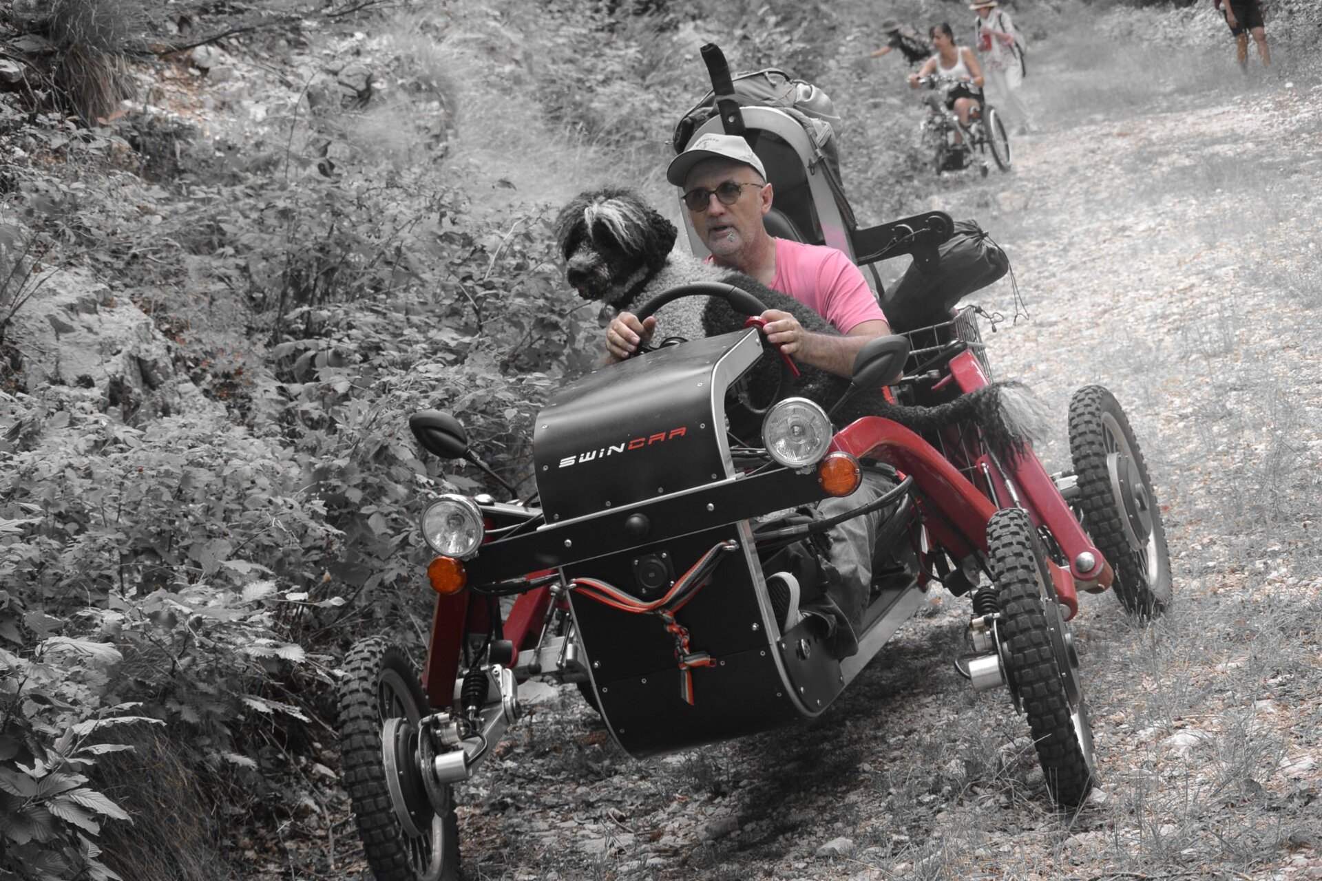 Swincar