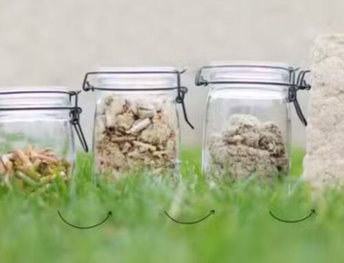 TchaoMegot: recyclage et valorisation des restes de cigarettes