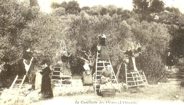 Moulin La Cravenco
