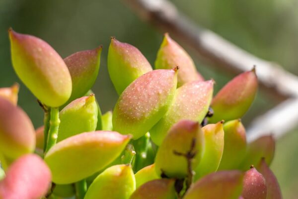 474022778_687216620520343_9062650571006323351_n