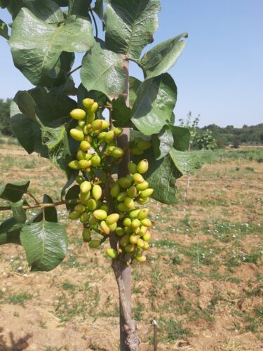 474548889_689584576950214_7328894326632284263_n