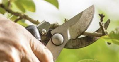 484067737_675411765041003_6113955089982337819_n (1)