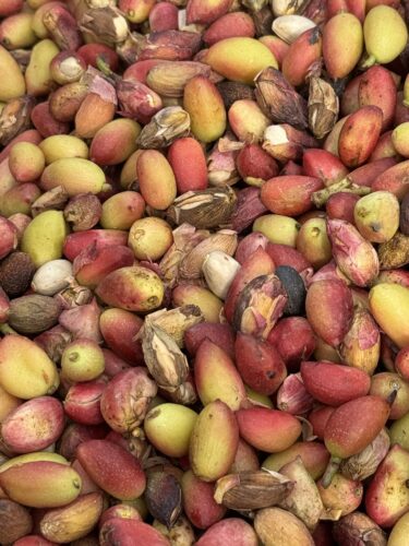 484357375_674120225170157_5517463687914883131_n Pistache