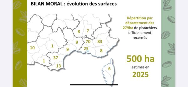 495184199_711215661460613_8709855625034316464_n