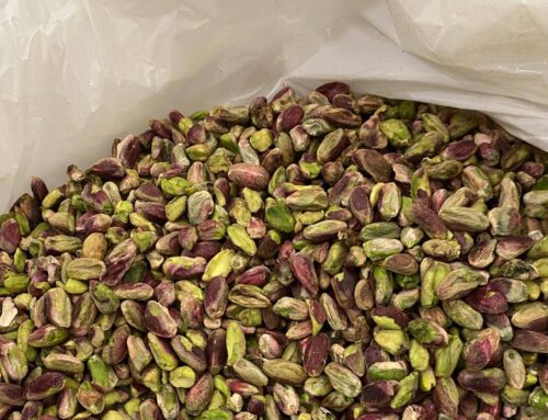 La pistache française, le nouvel or vert du Sud