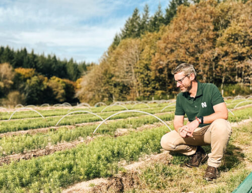 Naudet : 150 ans d’expertise au service du reboisement et de la forêt
